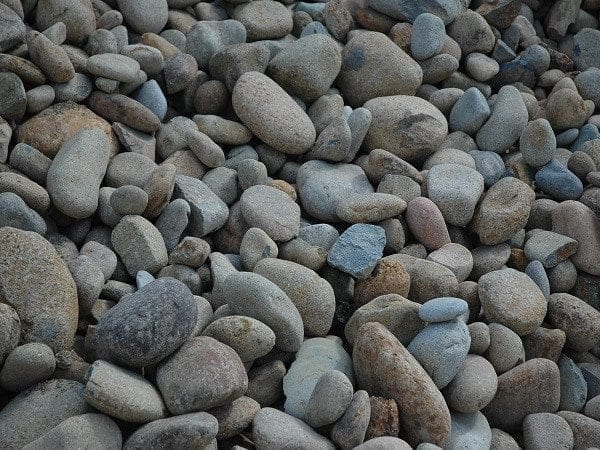 Lucky Stones 100 300mm Turtle, Landscape Supply Concord Canada