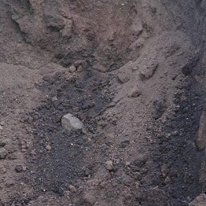 Cow Manure